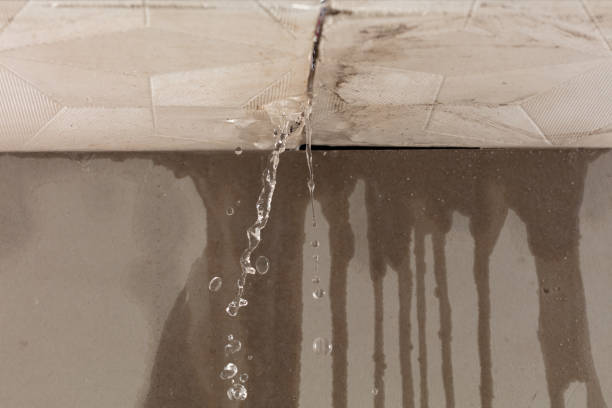 Professional Burst Pipe Cleanup technician working in Ogdensburg, NJ